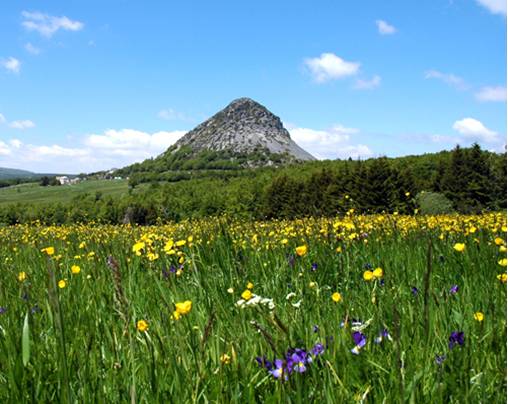 Location gite ardeche - Mnt gerbier de joncs - Source de la Loire